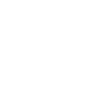 The Mindful Coach